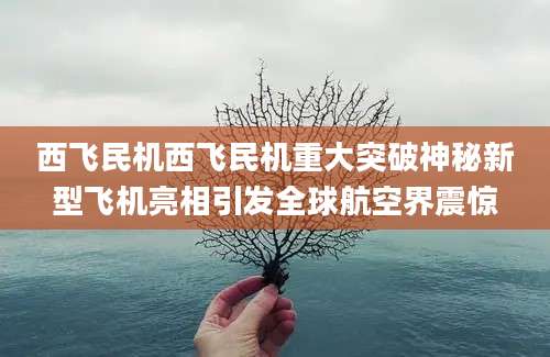 西飞民机西飞民机重大突破神秘新型飞机亮相引发全球航空界震惊