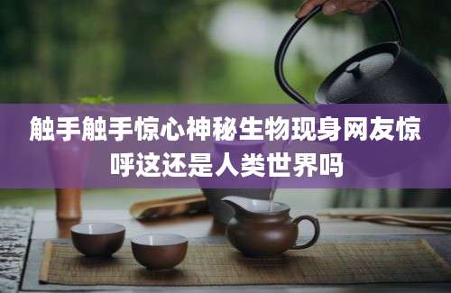 触手触手惊心神秘生物现身网友惊呼这还是人类世界吗