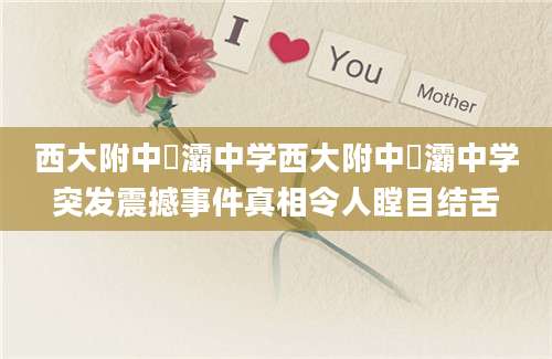 西大附中浐灞中学西大附中浐灞中学突发震撼事件真相令人瞠目结舌