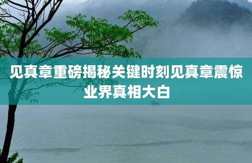 见真章重磅揭秘关键时刻见真章震惊业界真相大白
