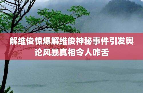 解维俊惊爆解维俊神秘事件引发舆论风暴真相令人咋舌