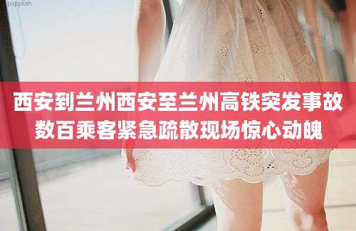 西安到兰州西安至兰州高铁突发事故数百乘客紧急疏散现场惊心动魄