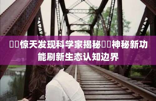 蠄蟝惊天发现科学家揭秘蠄蟝神秘新功能刷新生态认知边界