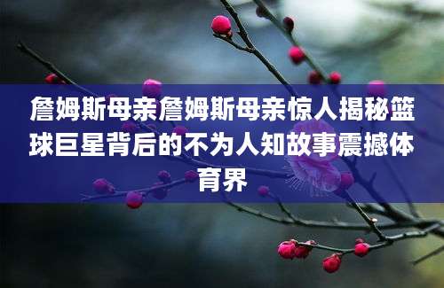 詹姆斯母亲詹姆斯母亲惊人揭秘篮球巨星背后的不为人知故事震撼体育界