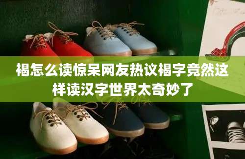 褐怎么读惊呆网友热议褐字竟然这样读汉字世界太奇妙了