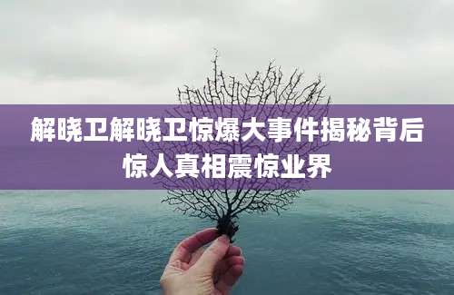 解晓卫解晓卫惊爆大事件揭秘背后惊人真相震惊业界