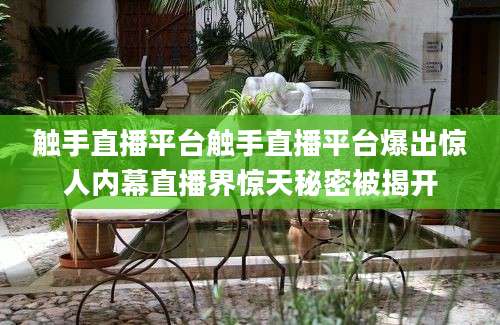 触手直播平台触手直播平台爆出惊人内幕直播界惊天秘密被揭开