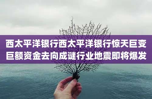 西太平洋银行西太平洋银行惊天巨变巨额资金去向成谜行业地震即将爆发