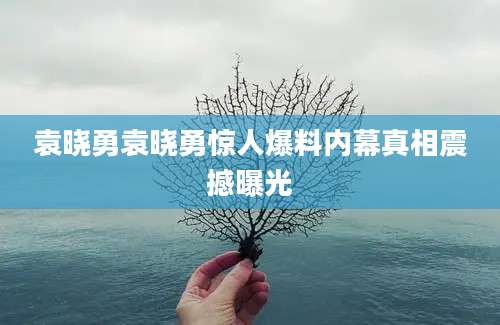 袁晓勇袁晓勇惊人爆料内幕真相震撼曝光