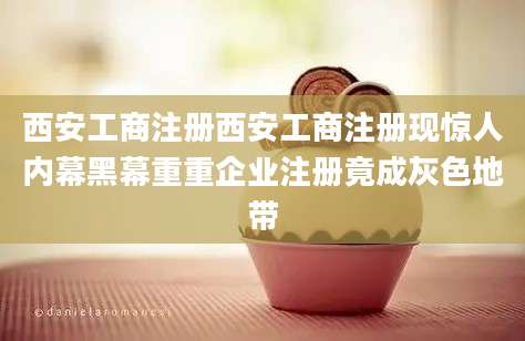 西安工商注册西安工商注册现惊人内幕黑幕重重企业注册竟成灰色地带