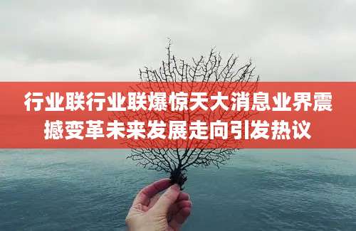 行业联行业联爆惊天大消息业界震撼变革未来发展走向引发热议