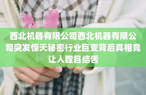 西北机器有限公司西北机器有限公司突发惊天秘密行业巨变背后真相竟让人瞠目结舌