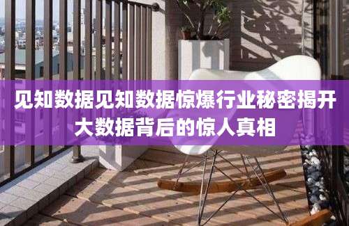 见知数据见知数据惊爆行业秘密揭开大数据背后的惊人真相