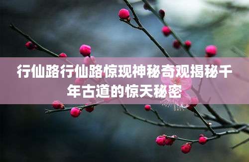 行仙路行仙路惊现神秘奇观揭秘千年古道的惊天秘密