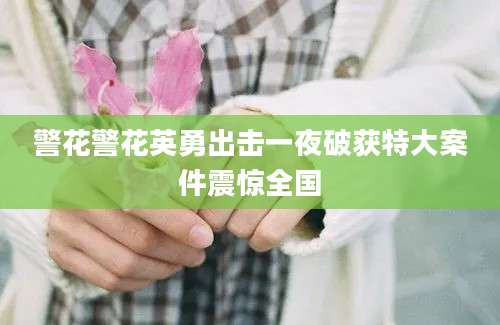 警花警花英勇出击一夜破获特大案件震惊全国
