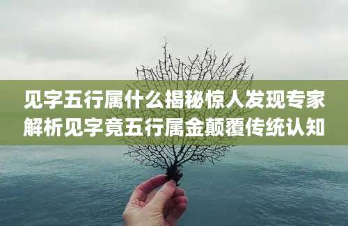 见字五行属什么揭秘惊人发现专家解析见字竟五行属金颠覆传统认知