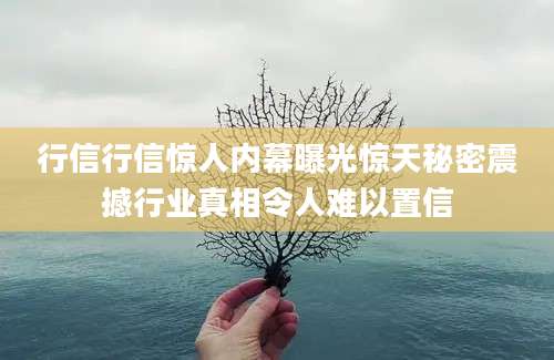 行信行信惊人内幕曝光惊天秘密震撼行业真相令人难以置信