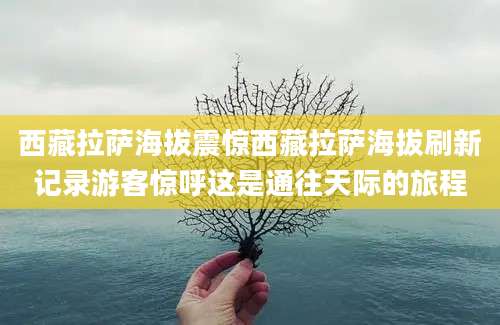 西藏拉萨海拔震惊西藏拉萨海拔刷新记录游客惊呼这是通往天际的旅程