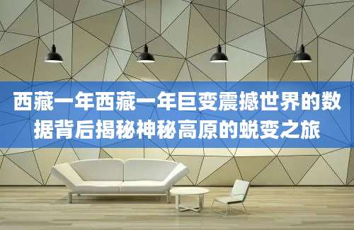 西藏一年西藏一年巨变震撼世界的数据背后揭秘神秘高原的蜕变之旅