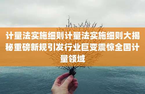 计量法实施细则计量法实施细则大揭秘重磅新规引发行业巨变震惊全国计量领域
