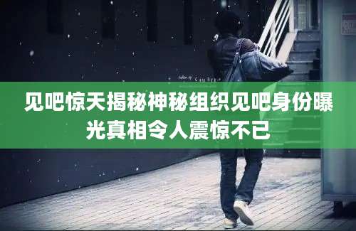 见吧惊天揭秘神秘组织见吧身份曝光真相令人震惊不已