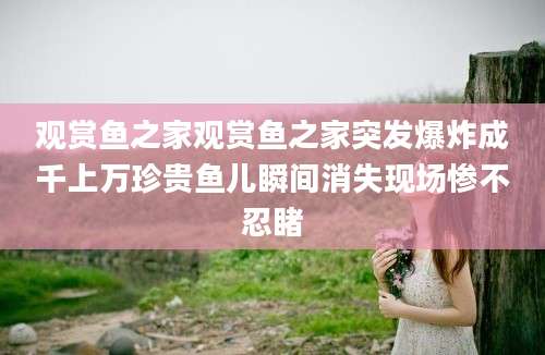 观赏鱼之家观赏鱼之家突发爆炸成千上万珍贵鱼儿瞬间消失现场惨不忍睹