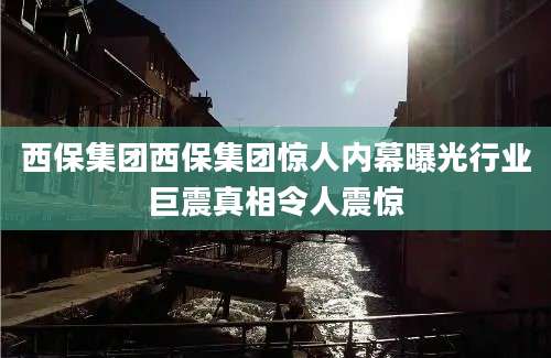西保集团西保集团惊人内幕曝光行业巨震真相令人震惊