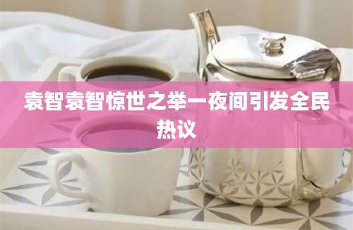 袁智袁智惊世之举一夜间引发全民热议