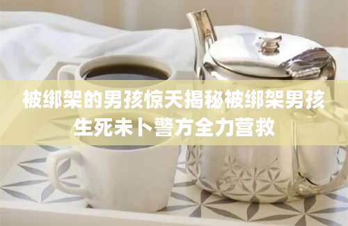 被绑架的男孩惊天揭秘被绑架男孩生死未卜警方全力营救
