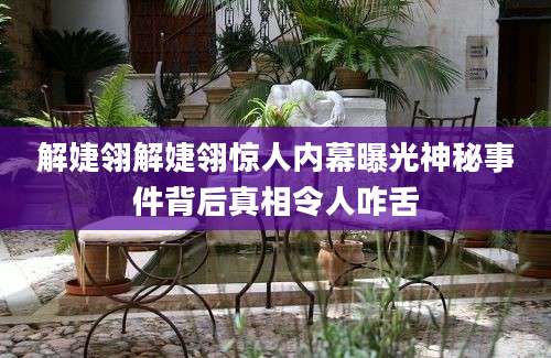 解婕翎解婕翎惊人内幕曝光神秘事件背后真相令人咋舌