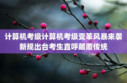 计算机考级计算机考级变革风暴来袭新规出台考生直呼颠覆传统