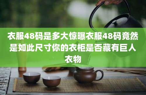 衣服48码是多大惊曝衣服48码竟然是如此尺寸你的衣柜是否藏有巨人衣物