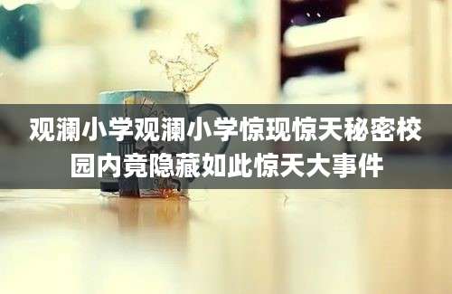 观澜小学观澜小学惊现惊天秘密校园内竟隐藏如此惊天大事件