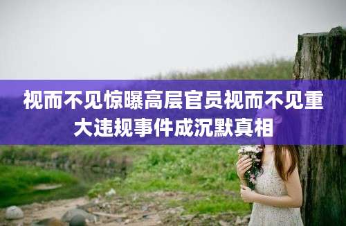 视而不见惊曝高层官员视而不见重大违规事件成沉默真相
