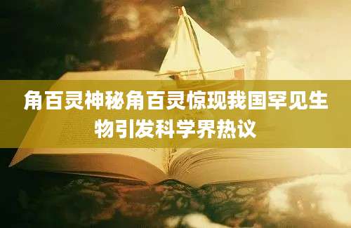 角百灵神秘角百灵惊现我国罕见生物引发科学界热议