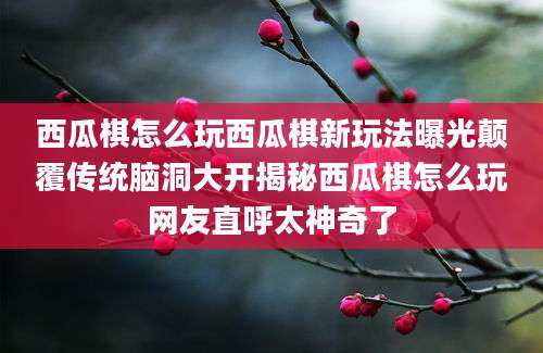 西瓜棋怎么玩西瓜棋新玩法曝光颠覆传统脑洞大开揭秘西瓜棋怎么玩网友直呼太神奇了