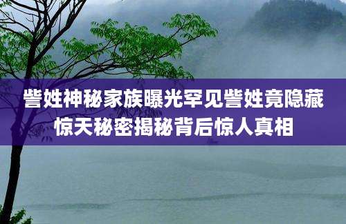 訾姓神秘家族曝光罕见訾姓竟隐藏惊天秘密揭秘背后惊人真相