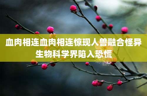 血肉相连血肉相连惊现人兽融合怪异生物科学界陷入恐慌