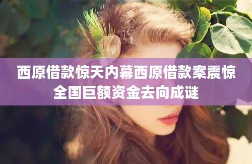 西原借款惊天内幕西原借款案震惊全国巨额资金去向成谜