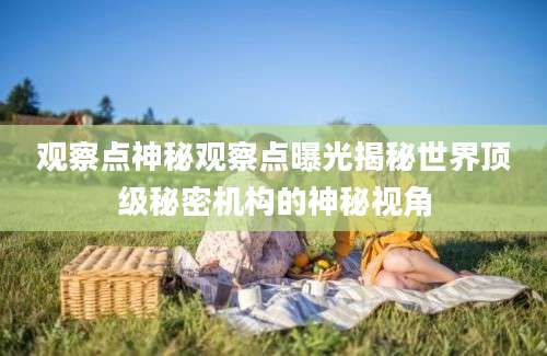 观察点神秘观察点曝光揭秘世界顶级秘密机构的神秘视角