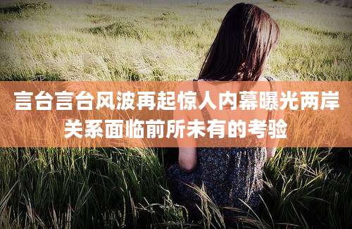 言台言台风波再起惊人内幕曝光两岸关系面临前所未有的考验