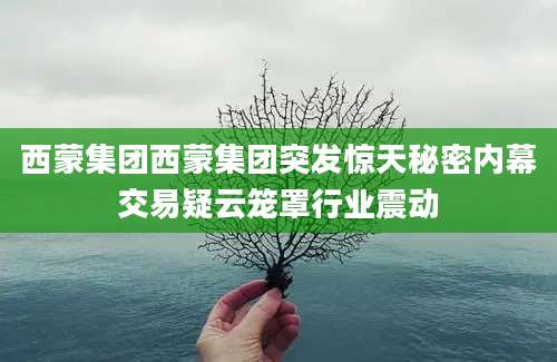 西蒙集团西蒙集团突发惊天秘密内幕交易疑云笼罩行业震动