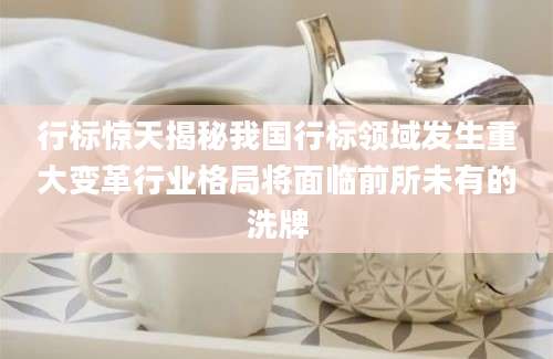 行标惊天揭秘我国行标领域发生重大变革行业格局将面临前所未有的洗牌