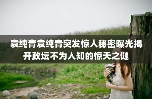 袁纯青袁纯青突发惊人秘密曝光揭开政坛不为人知的惊天之谜