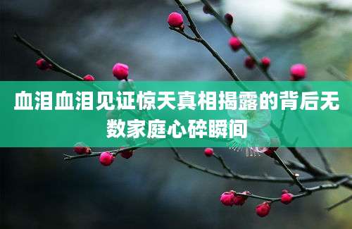 血泪血泪见证惊天真相揭露的背后无数家庭心碎瞬间