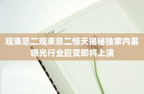 观束总二观束总二惊天揭秘独家内幕曝光行业巨变即将上演