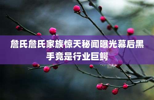 詹氏詹氏家族惊天秘闻曝光幕后黑手竟是行业巨鳄