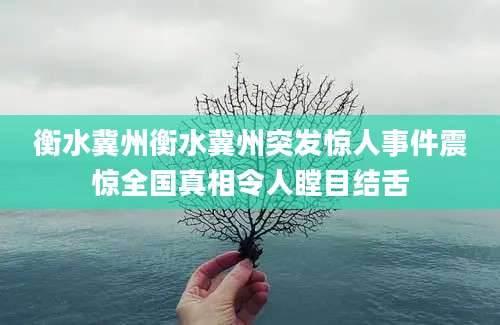 衡水冀州衡水冀州突发惊人事件震惊全国真相令人瞠目结舌