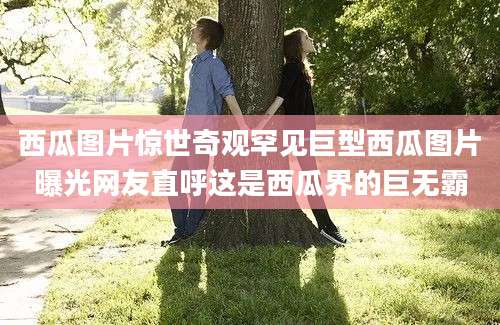 西瓜图片惊世奇观罕见巨型西瓜图片曝光网友直呼这是西瓜界的巨无霸