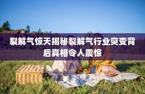裂解气惊天揭秘裂解气行业突变背后真相令人震惊